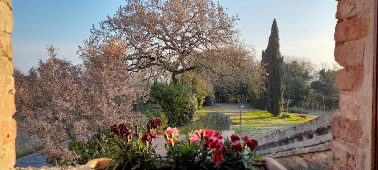Il Casale Di Sandra Chiusi Bagian luar foto