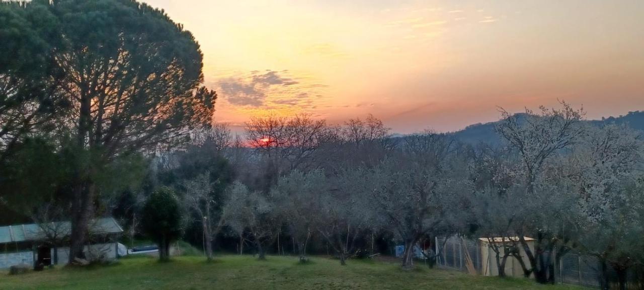 Il Casale Di Sandra Chiusi Bagian luar foto
