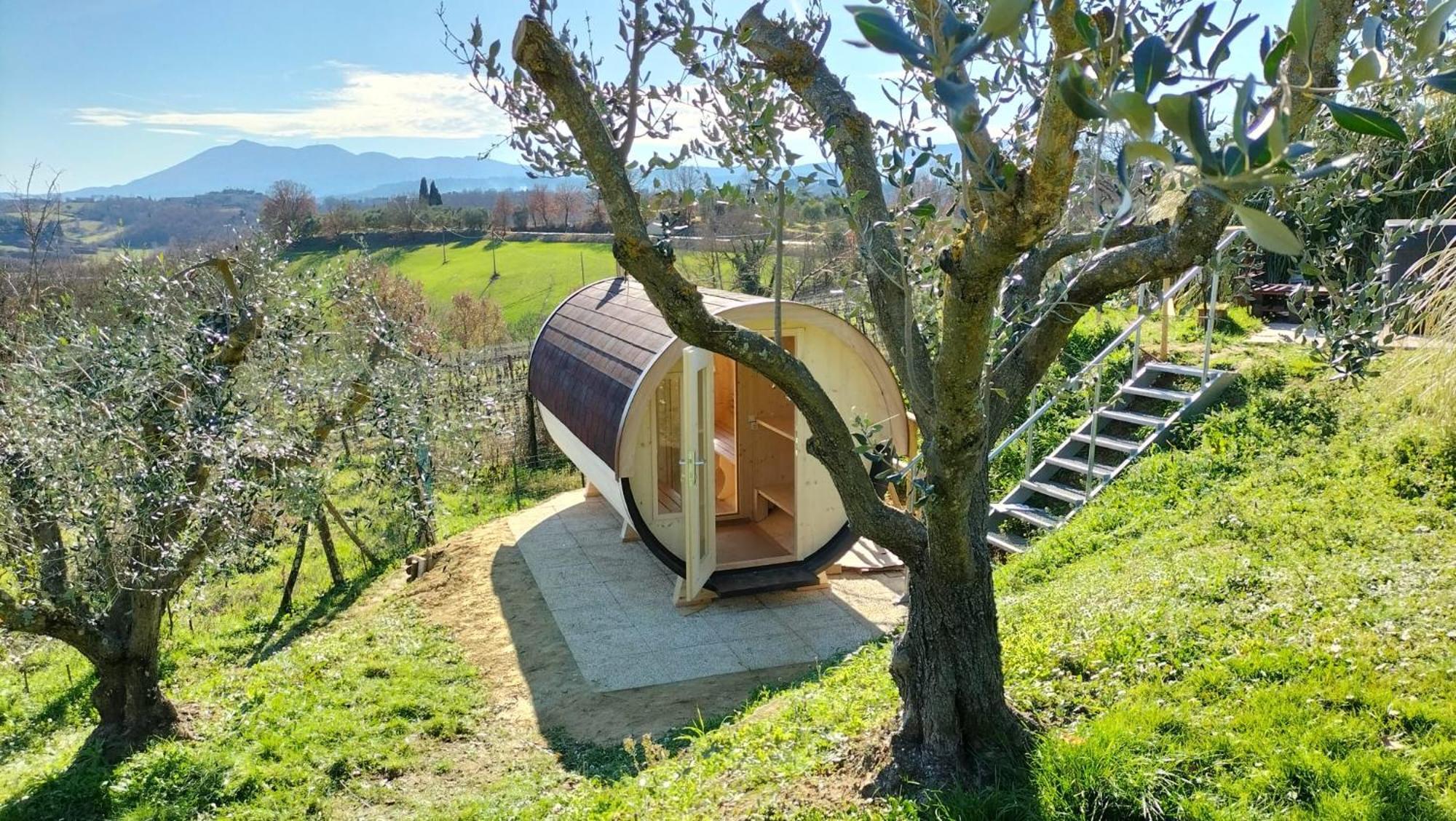 Il Casale Di Sandra Chiusi Bagian luar foto