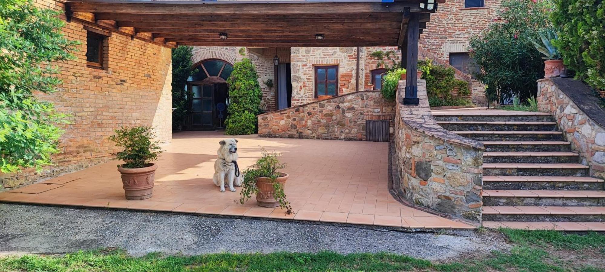 Il Casale Di Sandra Chiusi Bagian luar foto